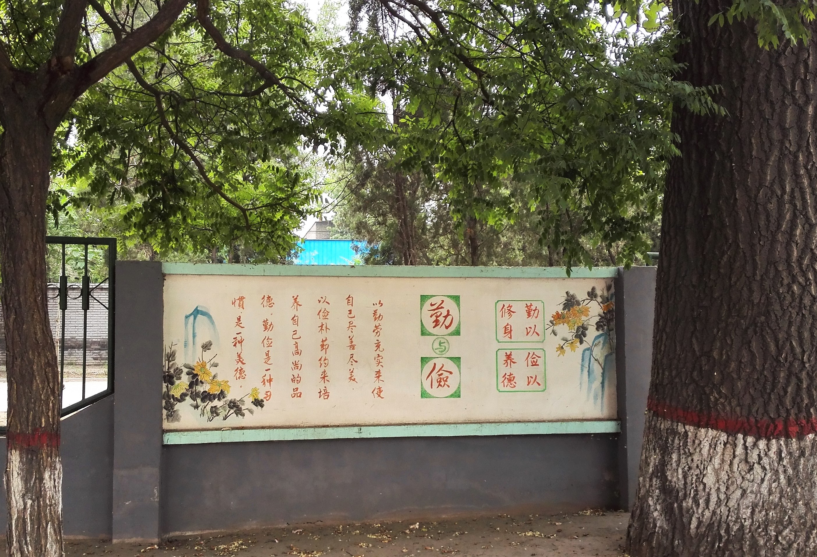 13.校園文化，根深葉茂.jpg